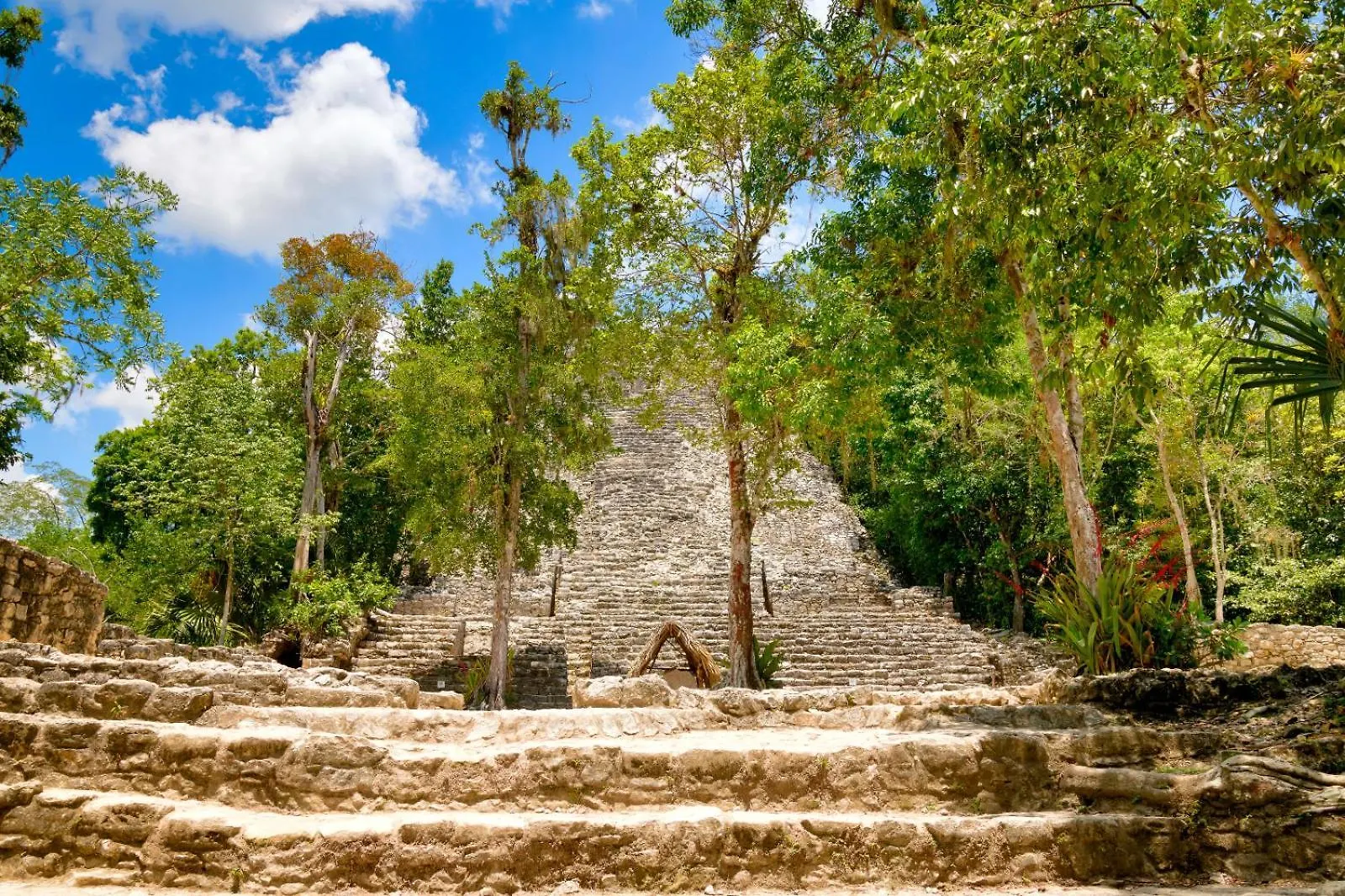 Maya Heaven Ph Private Pool, Rooftop And Parking Tulum Mexico